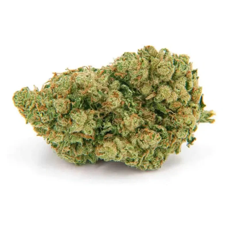 amnesia hydro