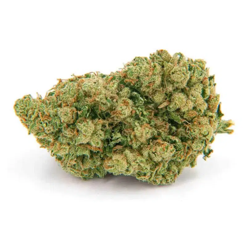 amnesia hydro amnesia hydro