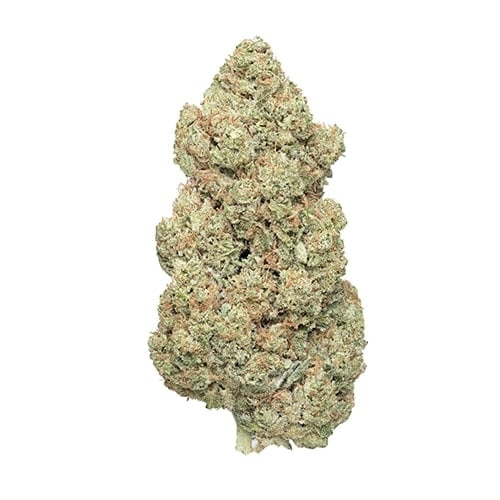 amnesia hydro (copia)
