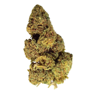 gorilla glue