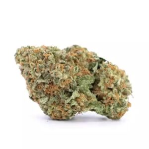 jack herer