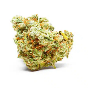 jack herer (copia)