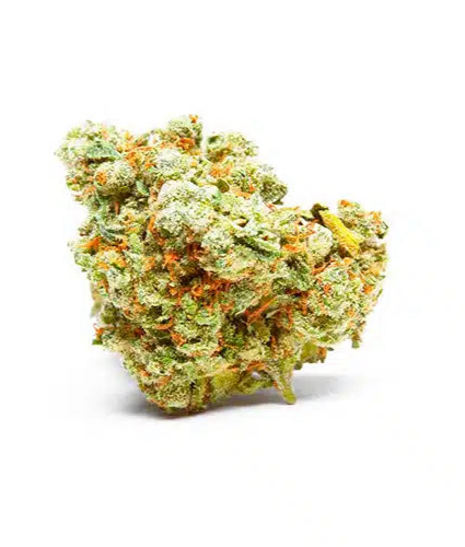 jack herer (copia) jack herer (copia)