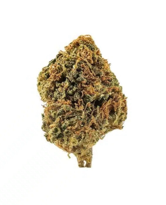 orange bud orange bud