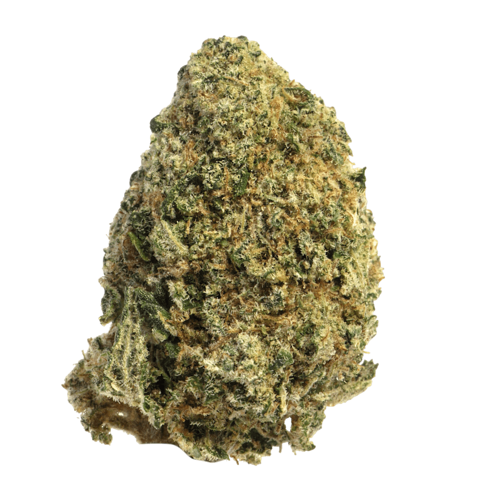 white widow white widow
